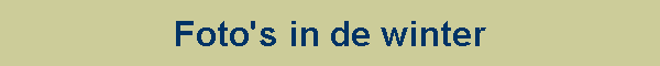 Foto's in de winter