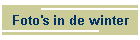 Foto's in de winter