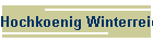 Hochkoenig Winterreich