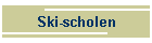 Ski-scholen